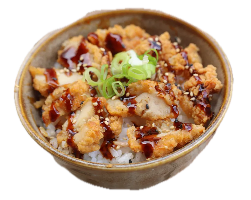 Tori Katsudon
