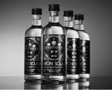 WON soju 원소주