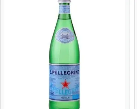 B2 S. Pellegrino Sparkling Water