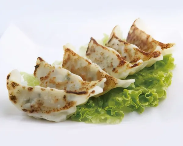Gyoza végétarien (6 pièces)
