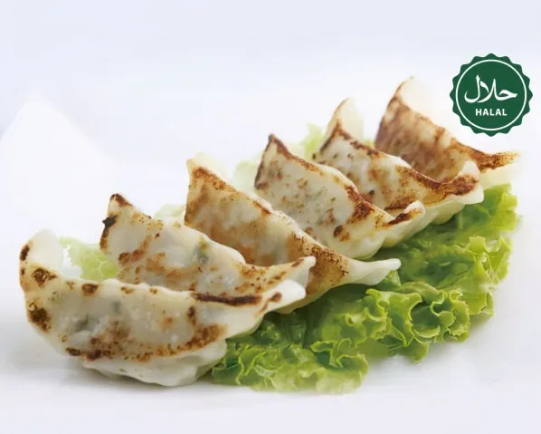 Gyoza poulet et légume (6 pièces) (halal)