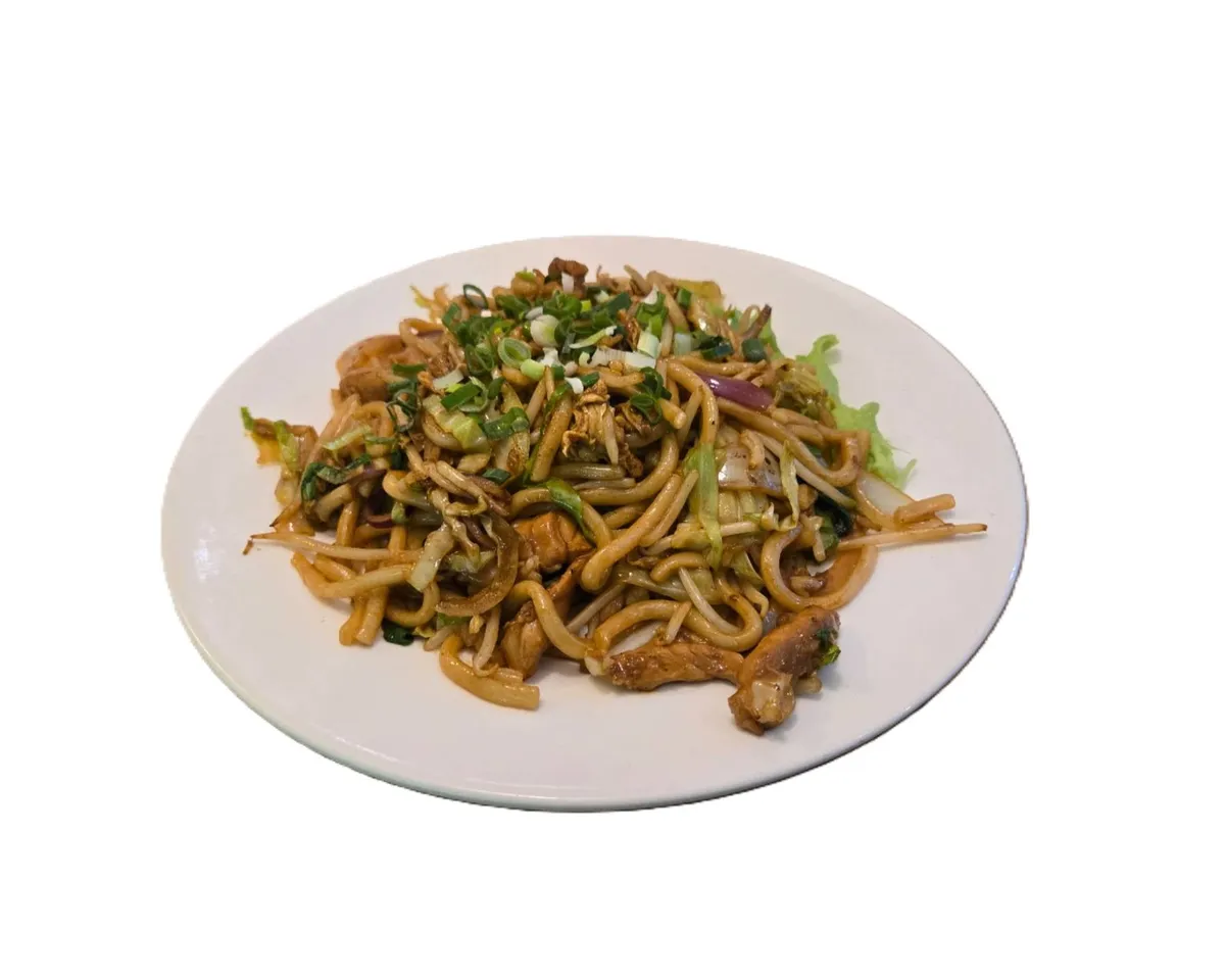 Udon au poulet