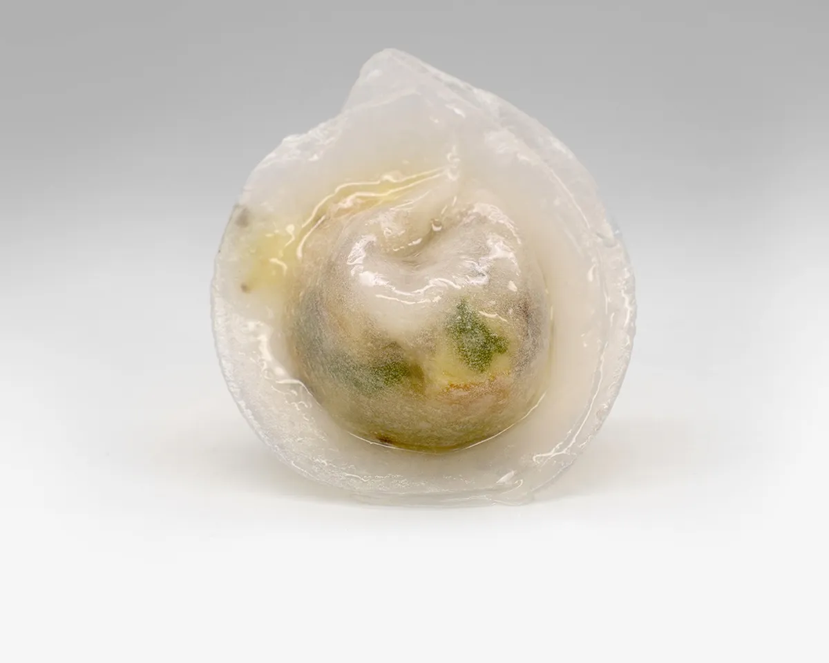 V29-Raviolis aux tofu 