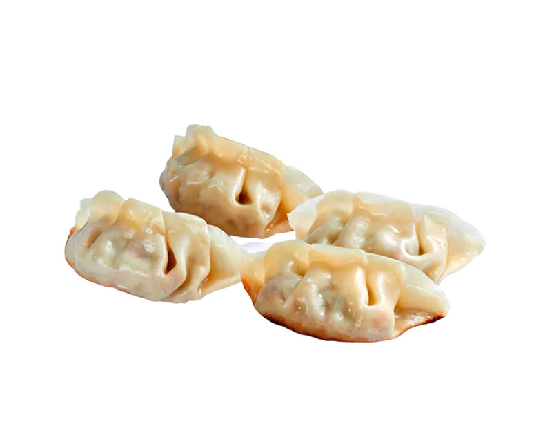 E16 Gyoza poulet