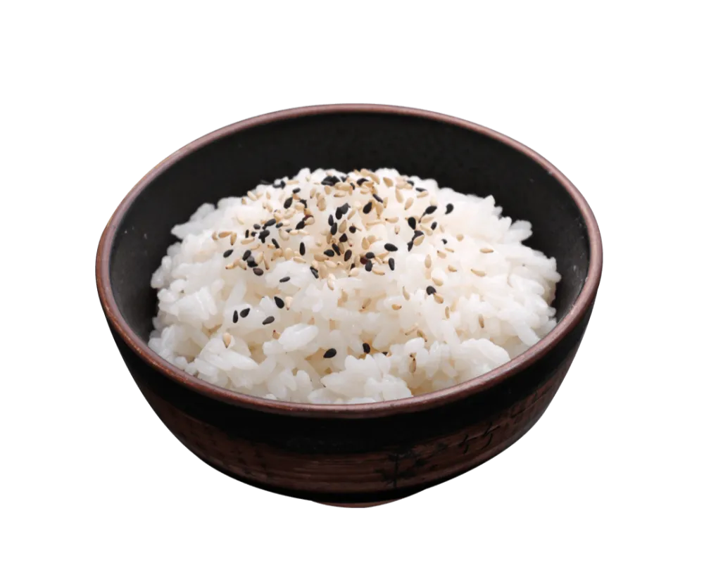 E04 Riz vinaigre