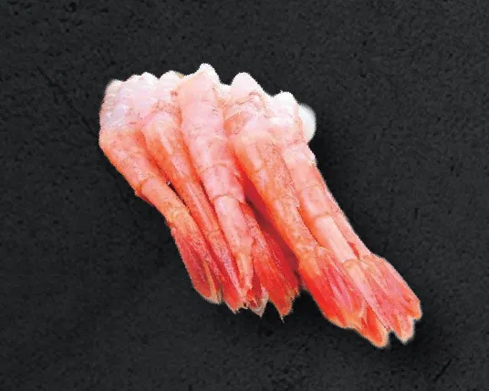 Sashimi crevette Ama Ebi