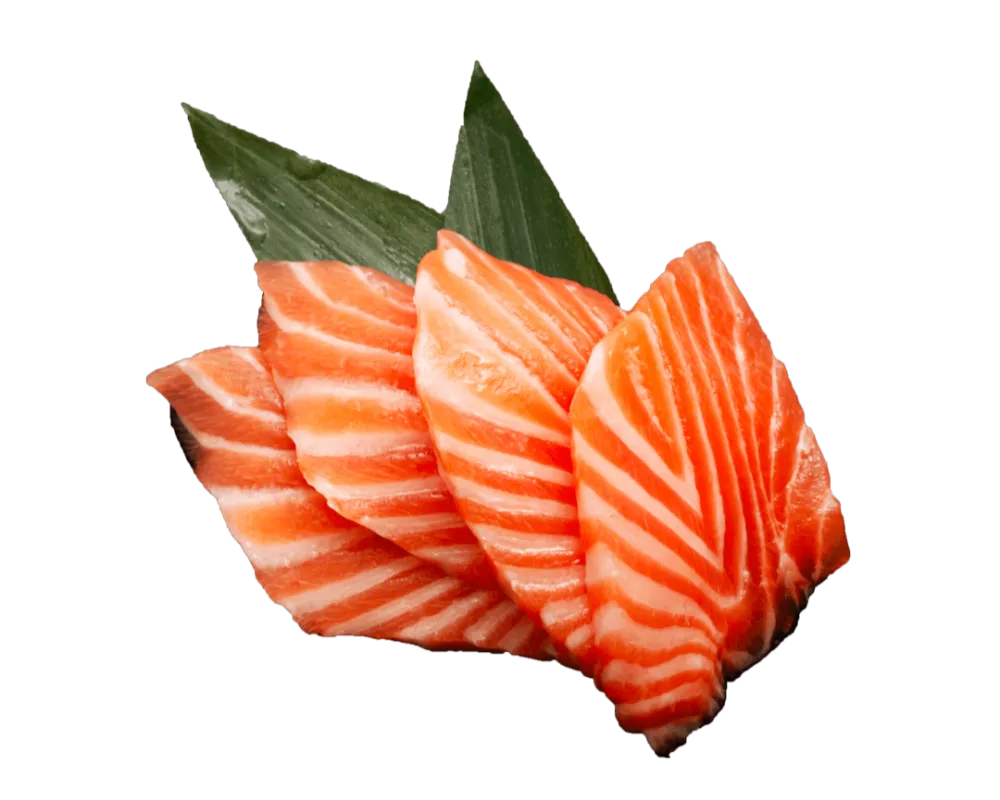 SA1 Saumon 6pcs