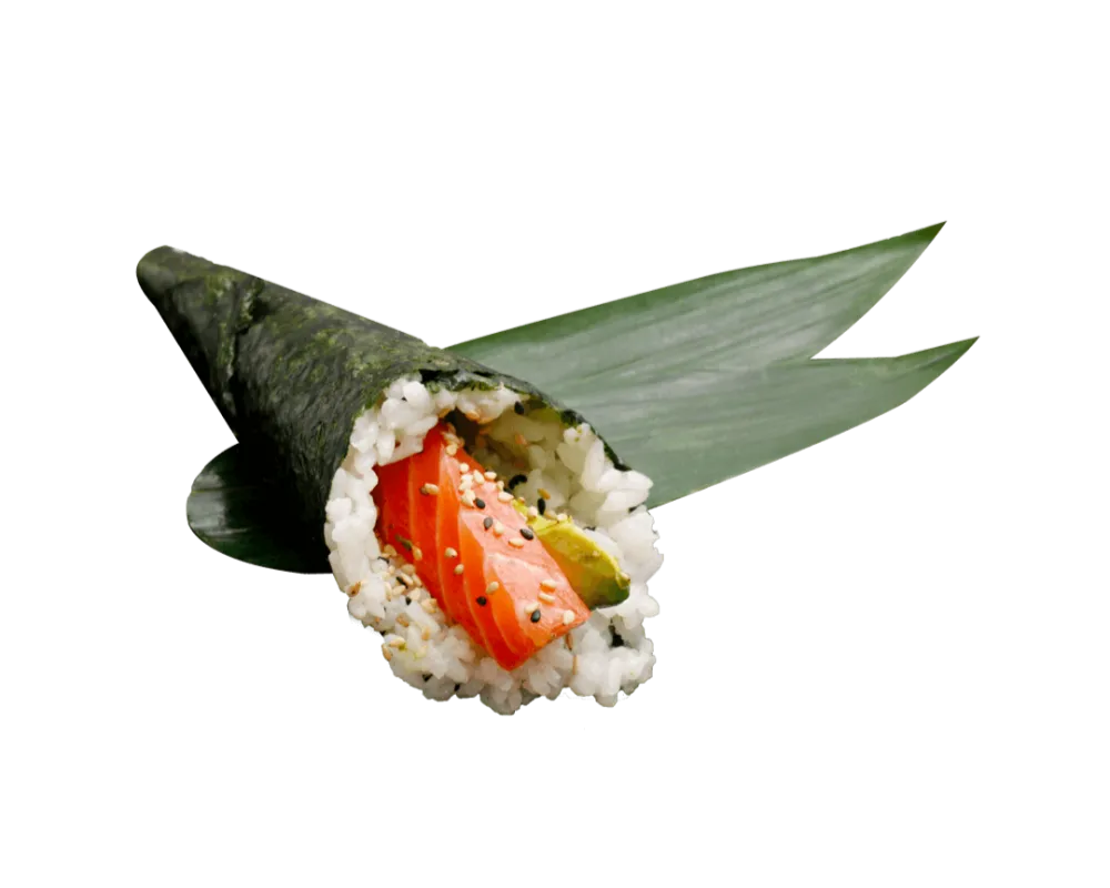 TE1 Saumon avocat concombre