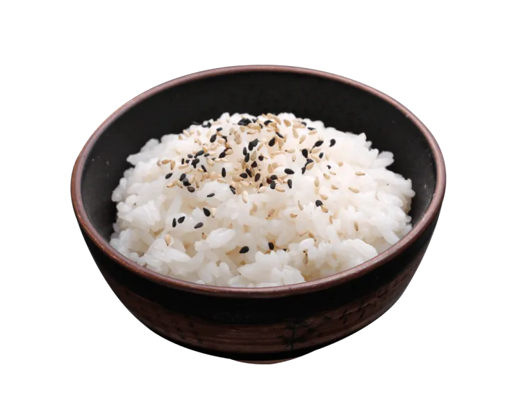 H9. Riz vinaigre 