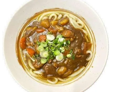 U4 Curry udon