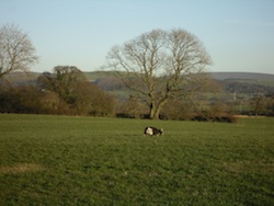 Caravan Holiday Exchange England Lancashire Garstang