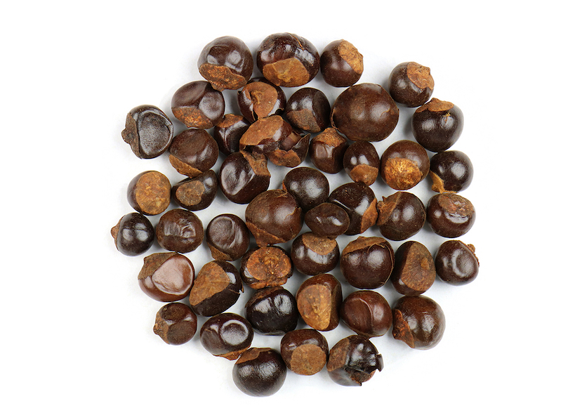 Guarana nut