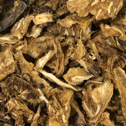 Lomatium root