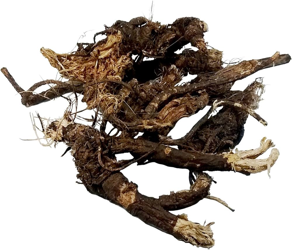 Osha root