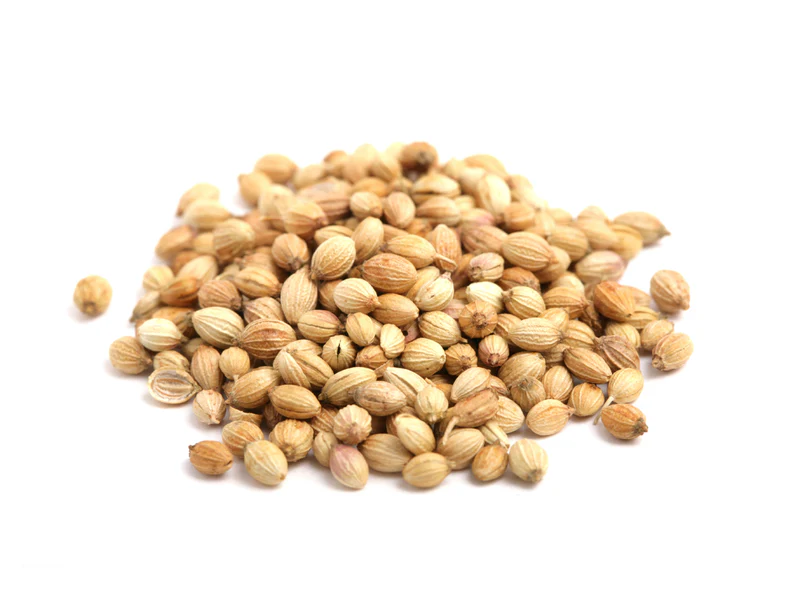 Coriander