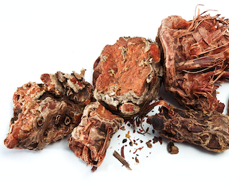 Rhodiola root