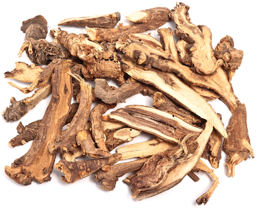 Bupleurum