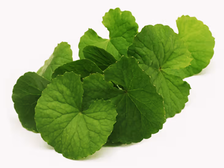 Gotu kola 