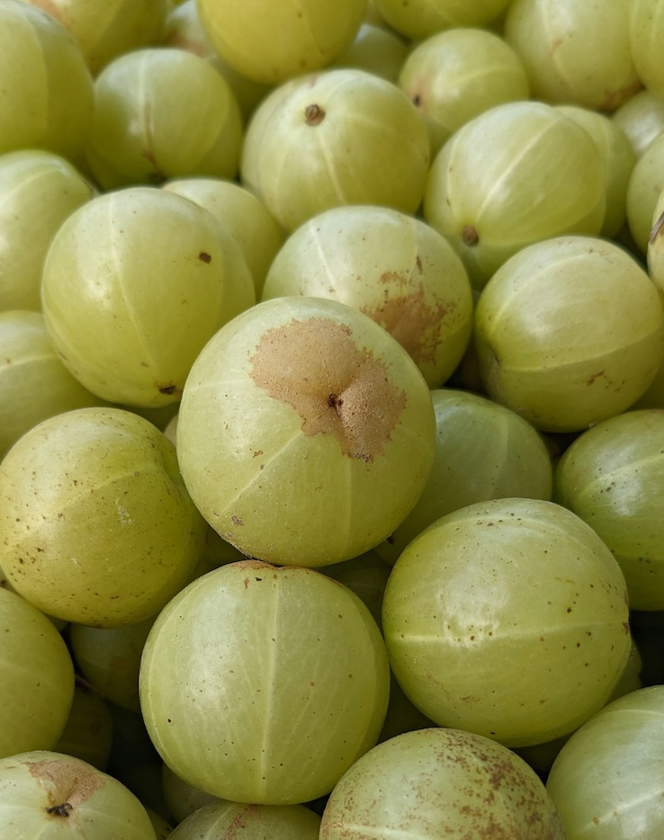 Amla