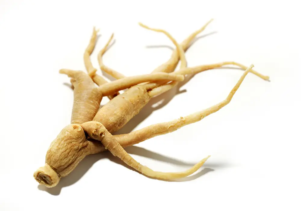 Eleuthero root