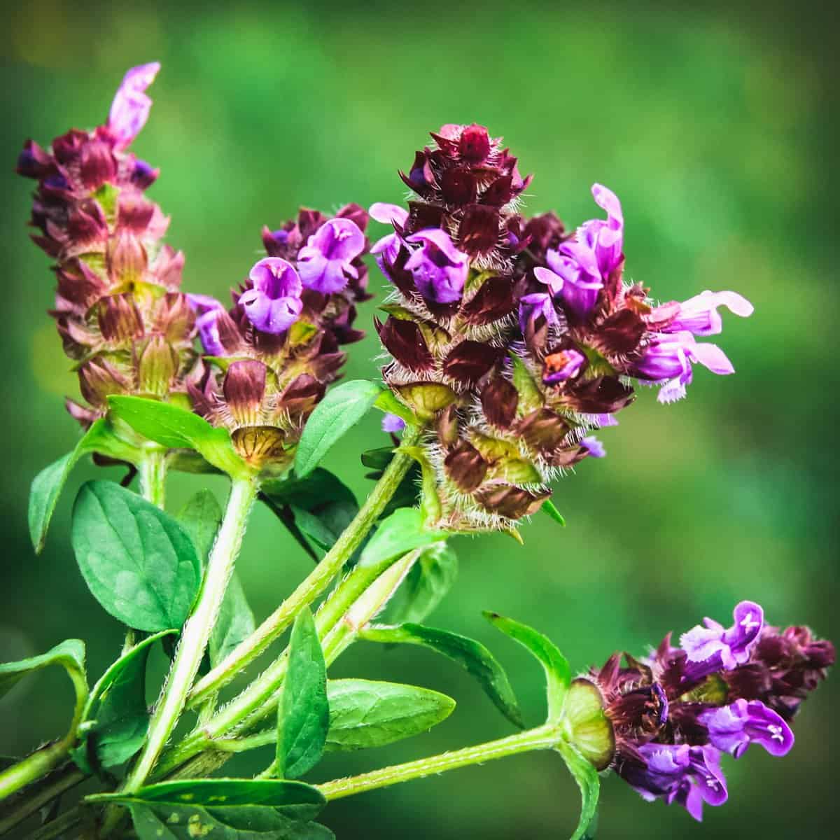 Self heal