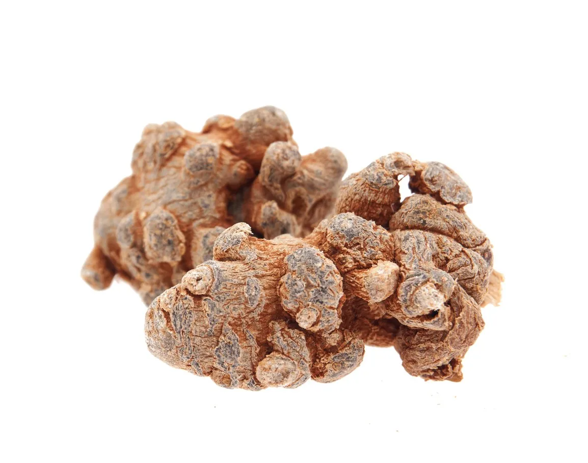 Notoginseng