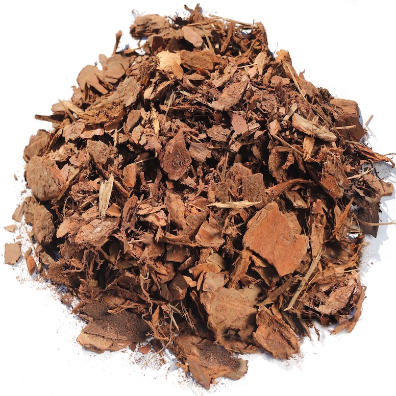 Pine bark