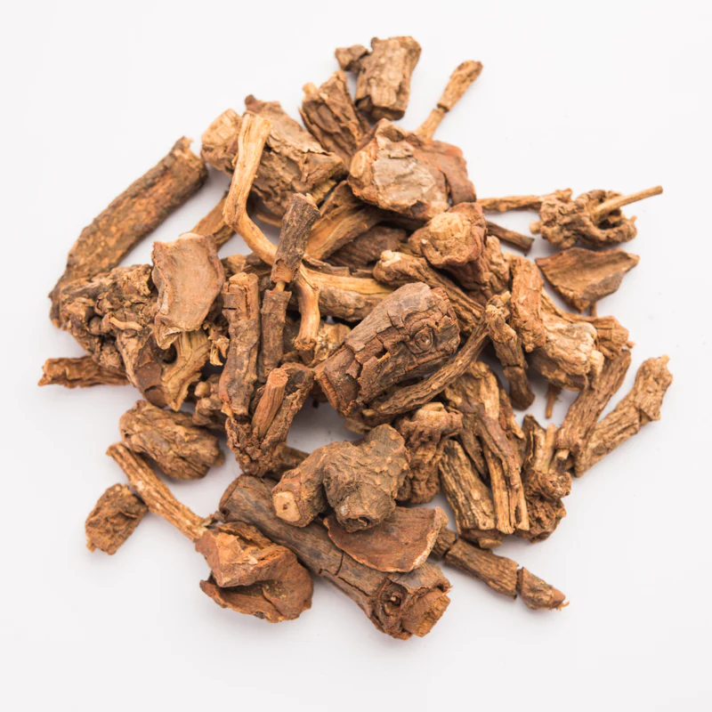 Sarsaparilla