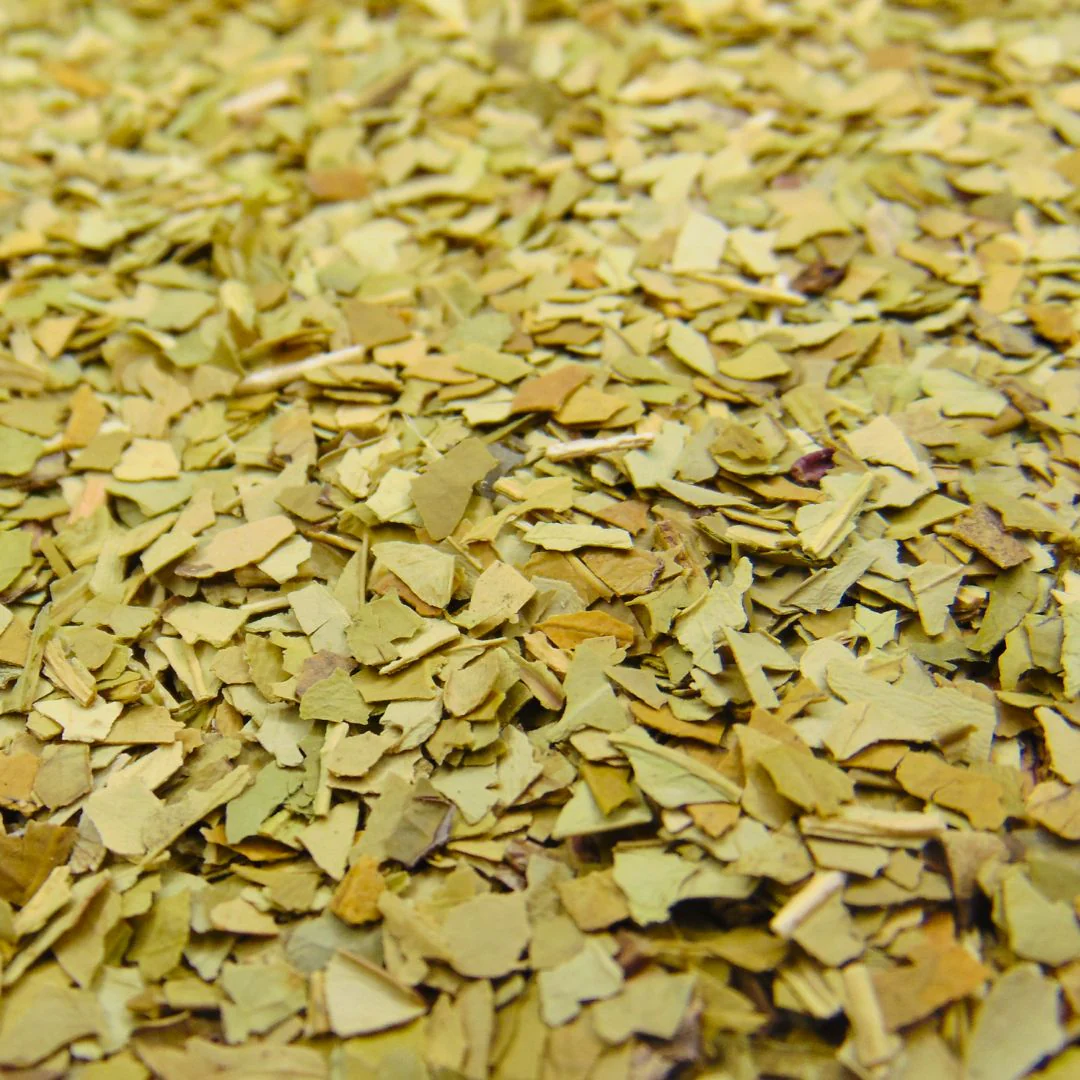 Yerba mate