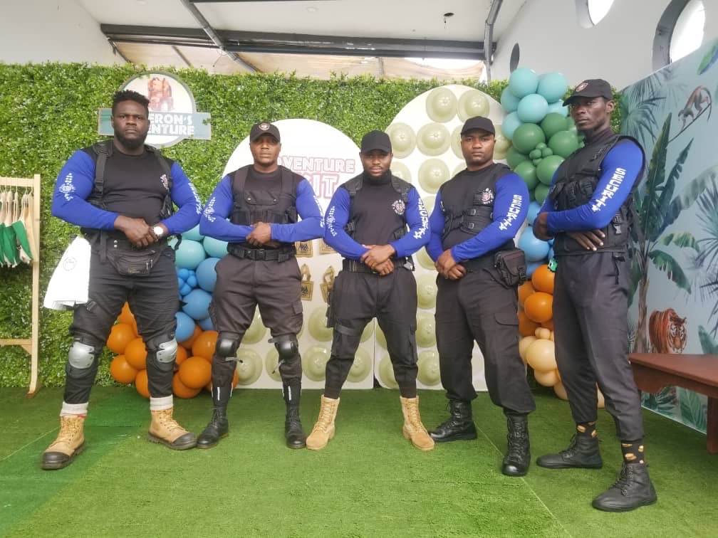 Ironshield Multinational Ltd 2