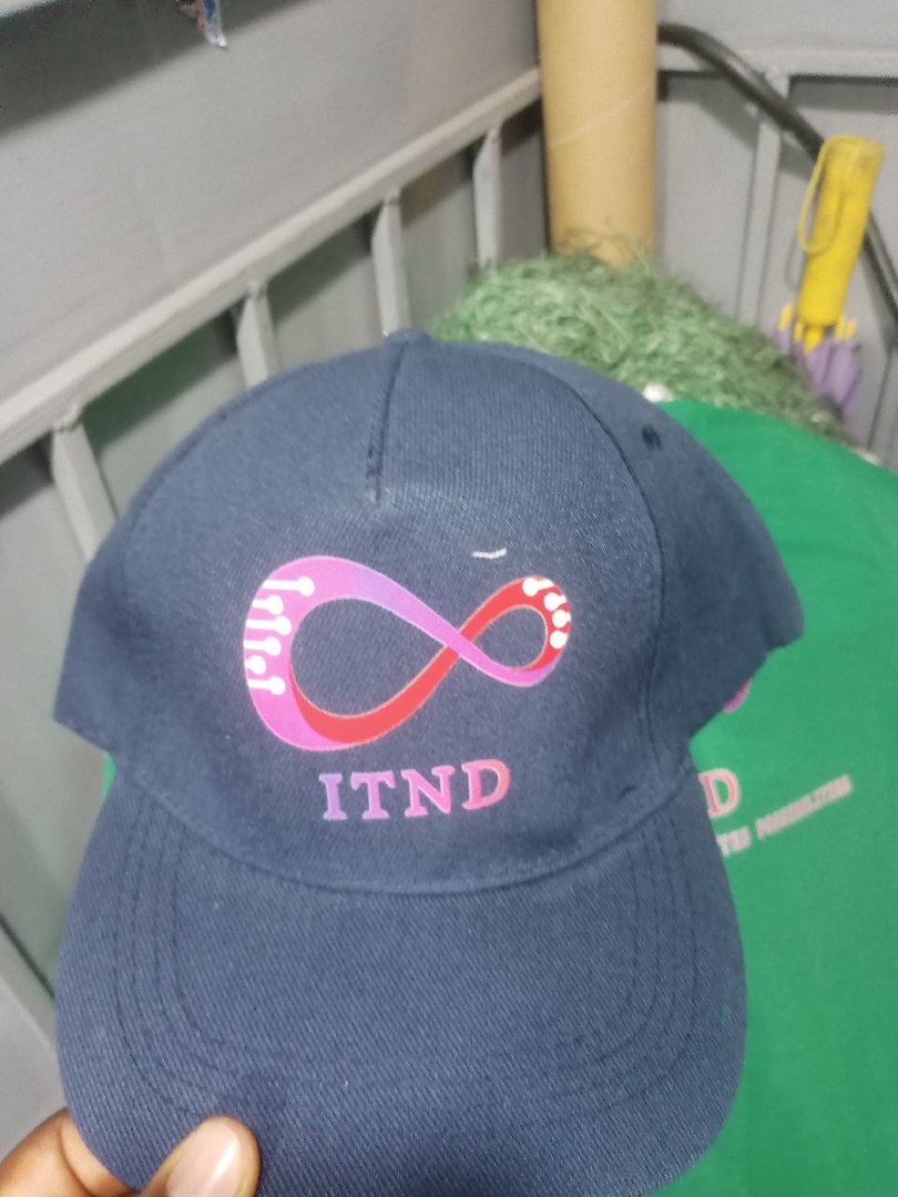 Brand T-shirt and Cap 2
