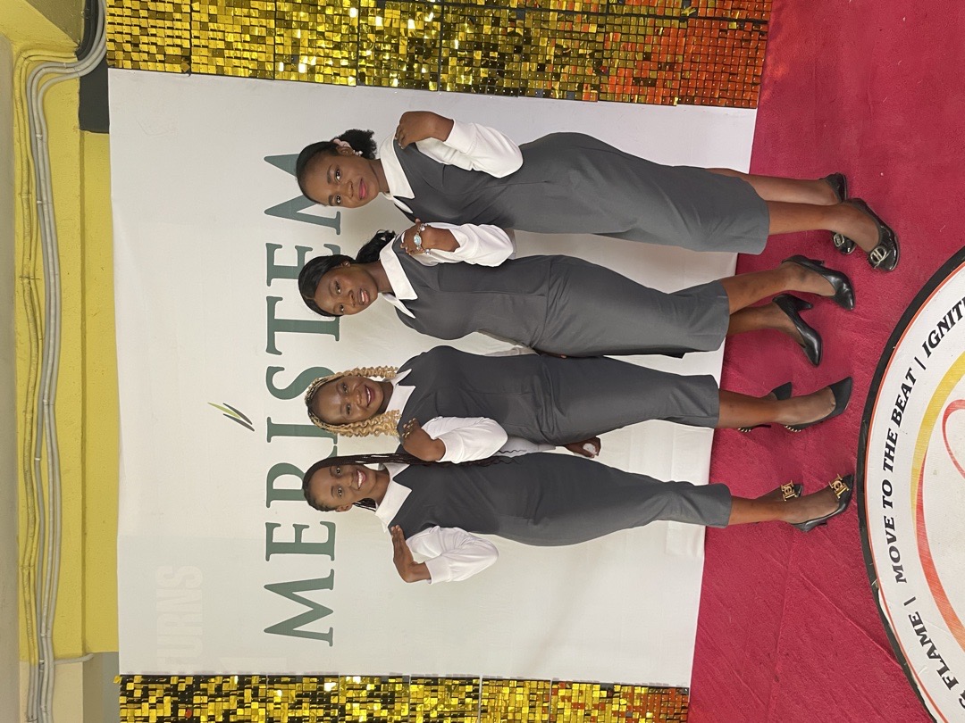 Event Ushering Services 5