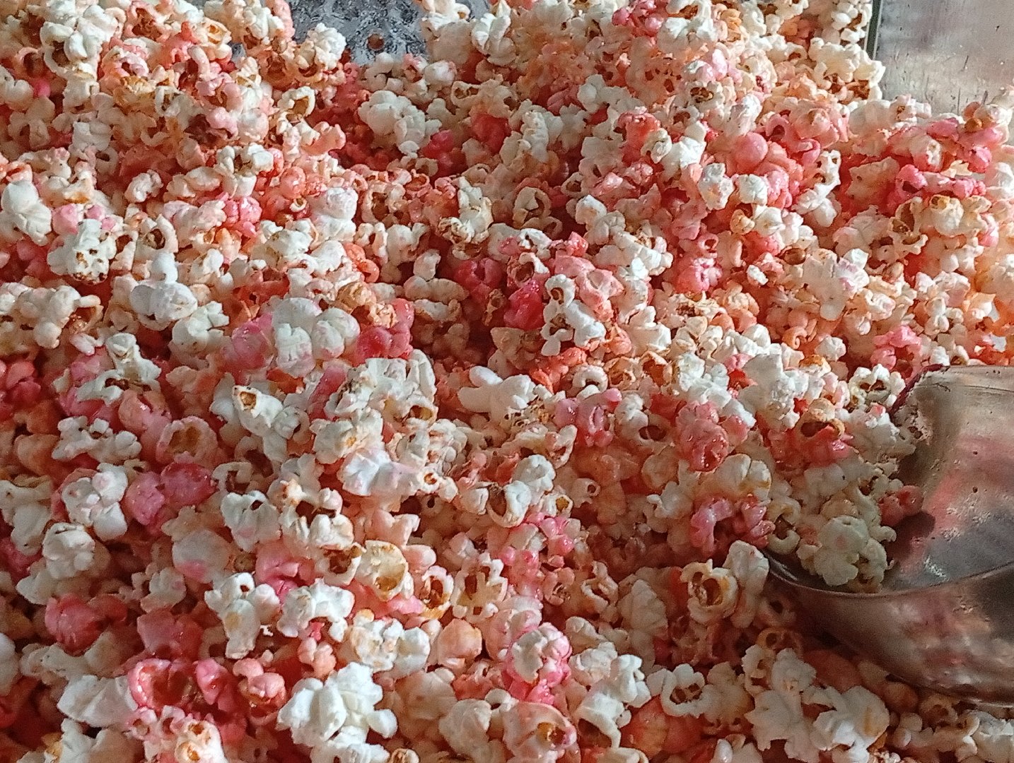 Popcorn Gourmet 3