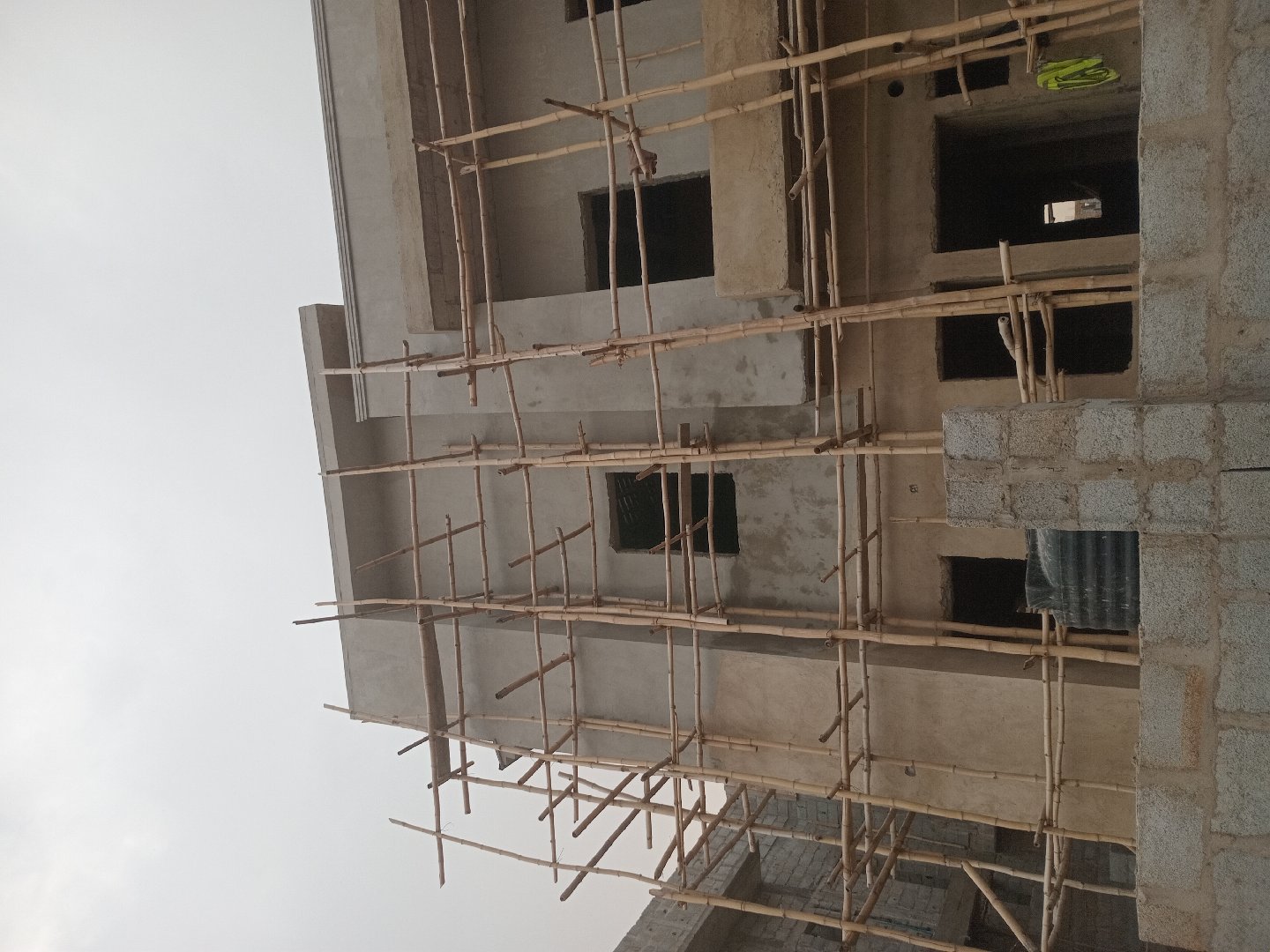 painting and Screeding 2