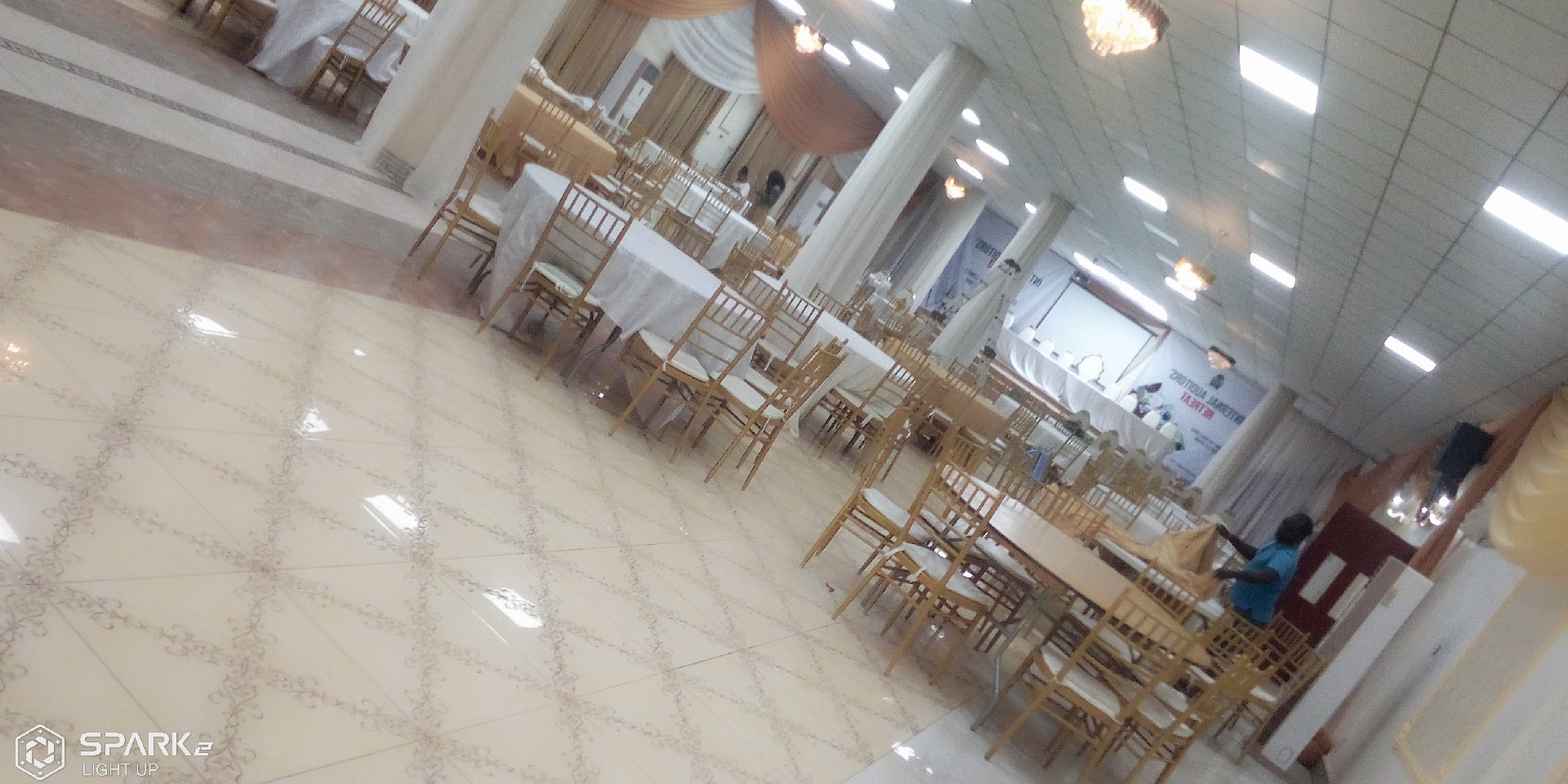 An event decorator (also called an event stylist or event designer in some contexts) specializes in transforming venues into visually stunning, thematic spaces for occasions like weddings, birthdays,