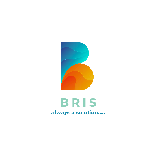 Bris Concepts portfolio