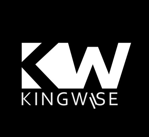 Kingwise media Ltd. portfolio