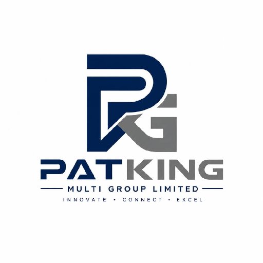 PATKING MULTI GROUP LIMITED portfolio