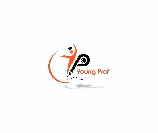 MC YOUNG PROF portfolio
