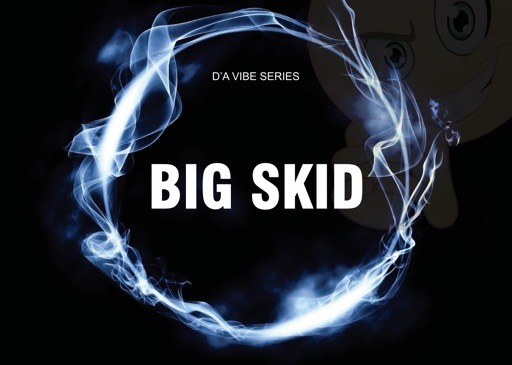 Dj skid portfolio