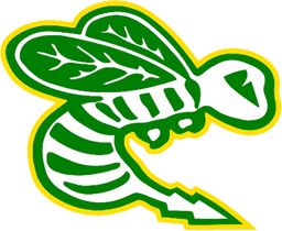 Edina Peewee B2 Green