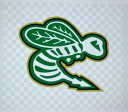 Edina Squirt B2 Gold