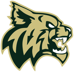 Chisago Lakes Peewee B2