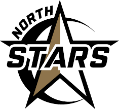 North Stars Squirt B1 Gray