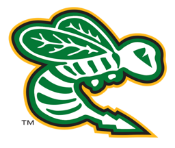 Edina Squirt C Gold