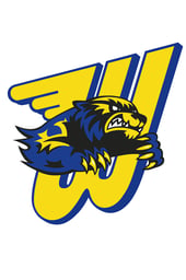Wadena Peewee B2 Yellow
