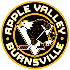 Apple Valley / Burnsville Squirt C Gold
