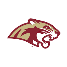 Lakeville South Squirt C Gold