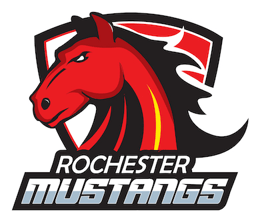 Rochester Peewee C Gray