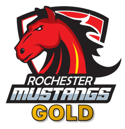 Rochester Bantam B1 Gold
